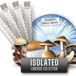 All Cubensis Varieties Isolated Spores