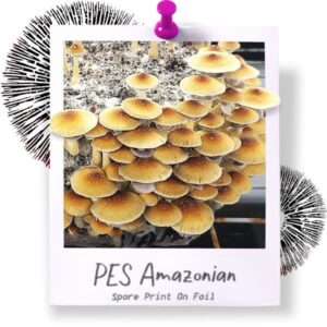 PES Amazonian Spore Print